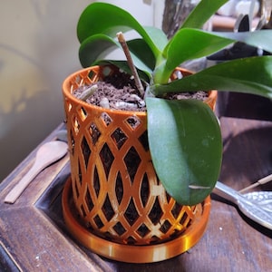 Maggie added a photo of their purchase