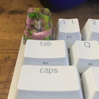 Handgemachte 3D-Capybara-Tastenkappe Aus Ton Für Mechanische Tastaturen – Einzigartige ESC-Taste