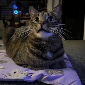 Amber heeft een foto van de aankoop toegevoegd