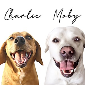 Lauren added a photo of their purchase