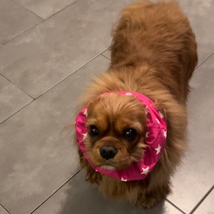 Poppy added a photo of their purchase