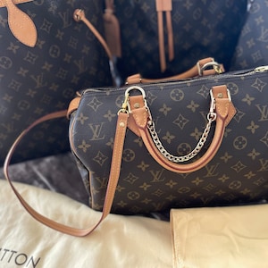 Louis Vuitton Speedy 30 Bag Review 