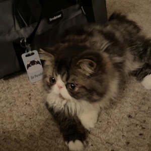 Victoria added a photo of their purchase