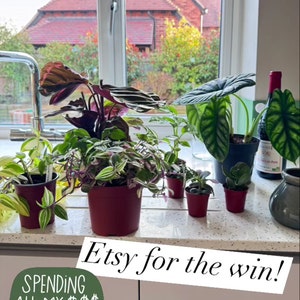 Sarah ha añadido una foto de su compra