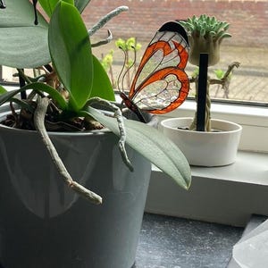 Lilian added a photo of their purchase