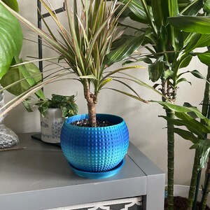 Tiffany さんが購入した商品の写真を追加しました