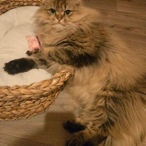 Céline ha añadido una foto de su compra