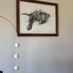 Anna added a photo of their purchase