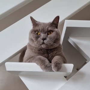Jess a ajouté une photo de son achat