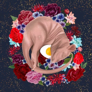 Raymie Rainbow added a photo of their purchase