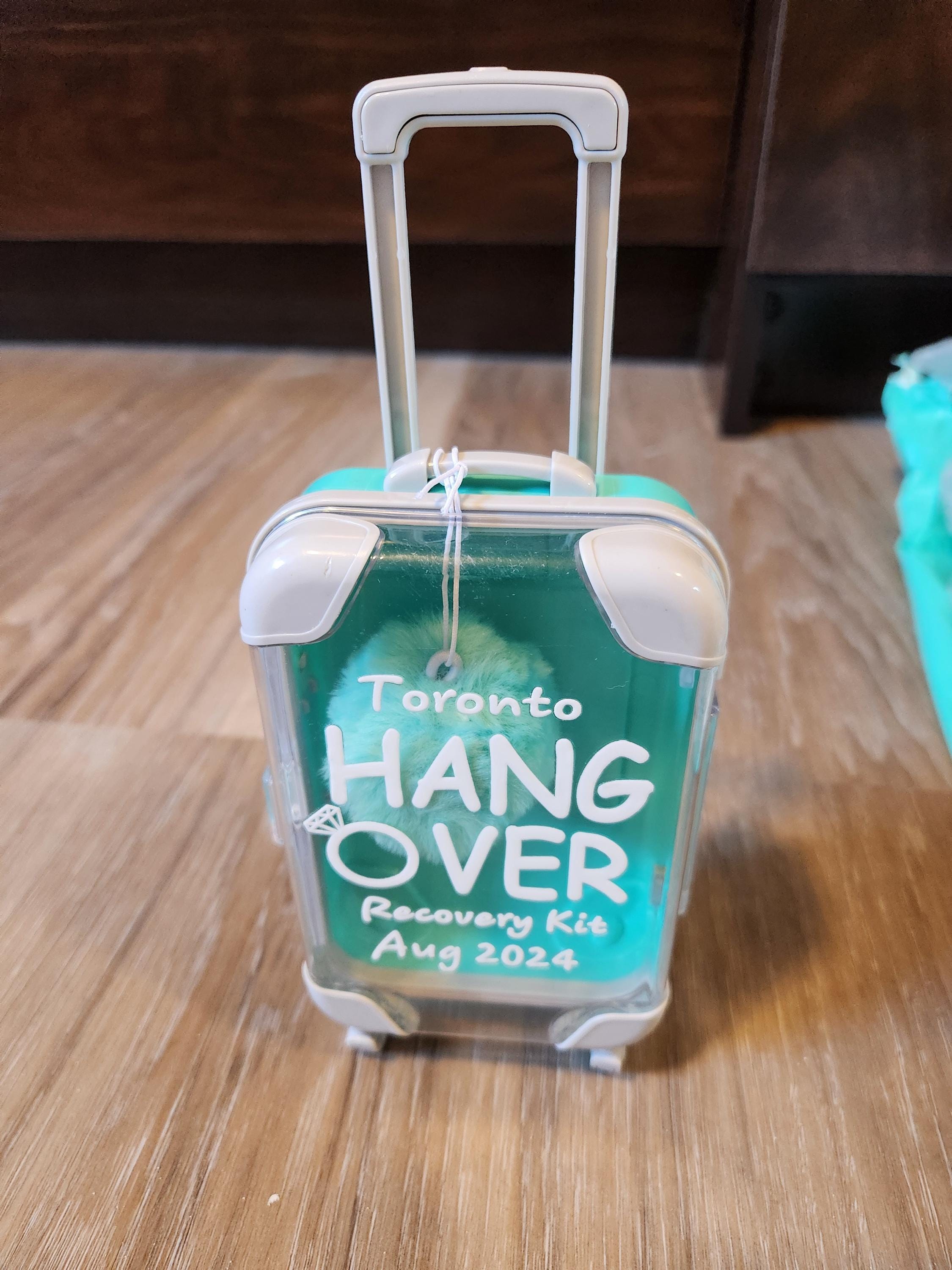 Hangover Kit Mini Suitcase, Bachelorette Party, Emergency Kit, Birthday Party Favor, Let's Go Girls, Girls Trips