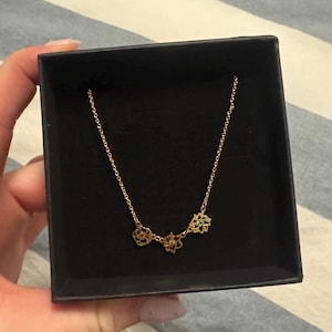 Charlotte added a photo of their purchase