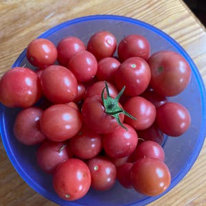 Helen added a photo of their purchase
