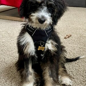 Molly さんが購入した商品の写真を追加しました
