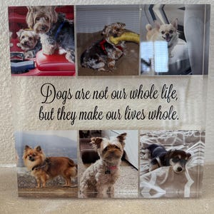 Oliver added a photo of their purchase