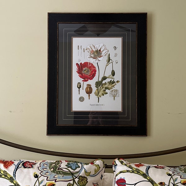 Vintage Botanical Print Set, Customizable Sizes, Set of Three Giclée ...