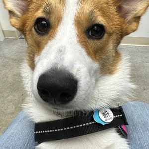 OZ added a photo of their purchase