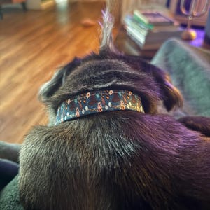 Courtney added a photo of their purchase