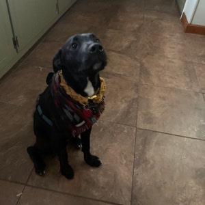Gracie ha añadido una foto de su compra