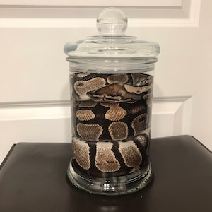 Alex added a photo of their purchase