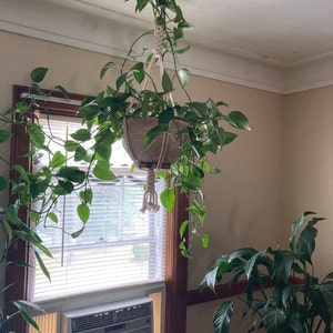 kerri added a photo of their purchase