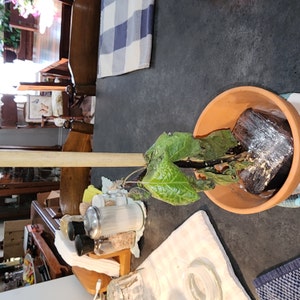 Nick added a photo of their purchase