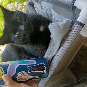 Magdalena added a photo of their purchase