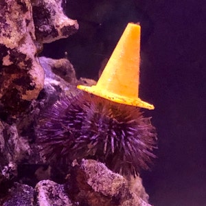 Sea Urchin Hats 2 Pack - Etsy