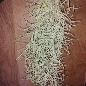 Inactief account heeft een foto van zijn/haar aankoop toegevoegd