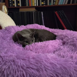 Gretchen hat ein Foto des gekauften Artikels hinzugefügt
