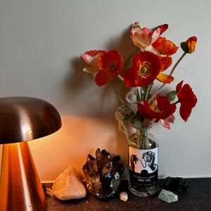 Rachel a ajouté une photo de son achat