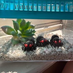 Dora added a photo of their purchase