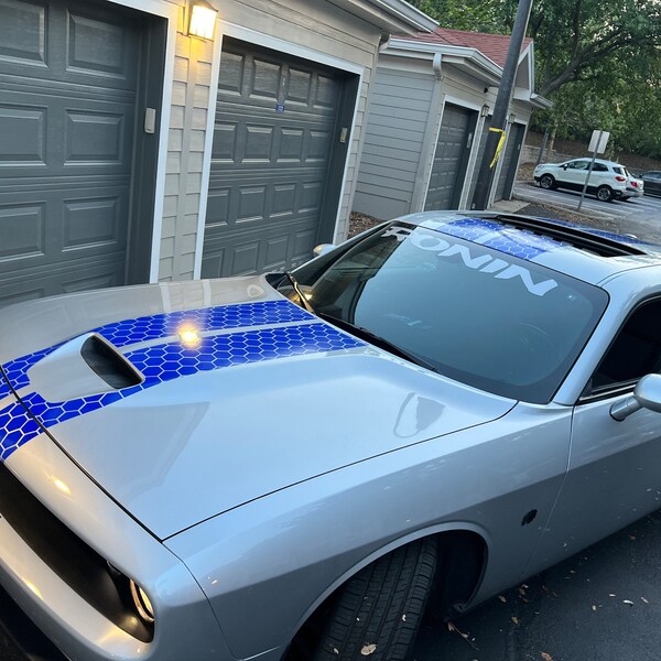 Honeycomb Racing Stripes Dual 10