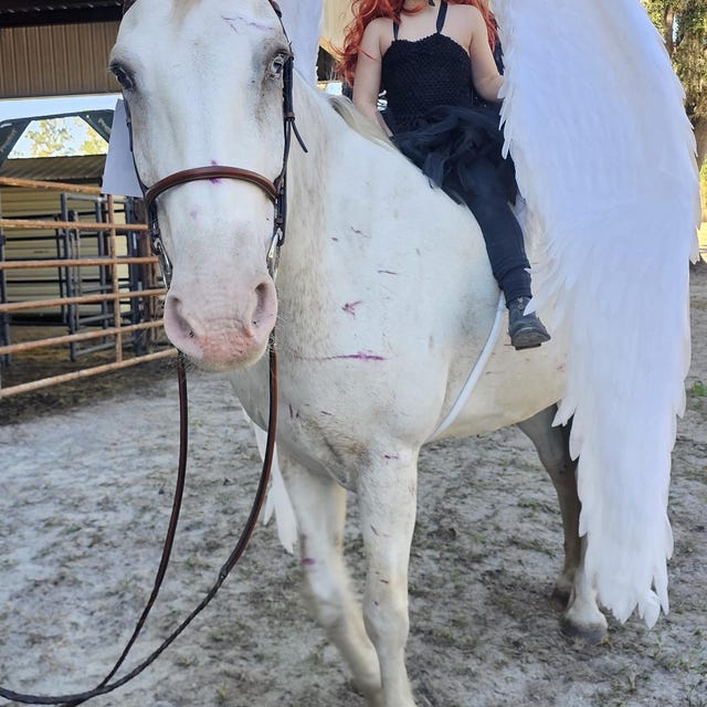 Horse Wings, Pegasus Wings, Horse Cosplay, Dragon Wings for ...