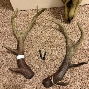 Allyson added a photo of their purchase