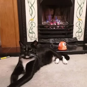 Wendy added a photo of their purchase