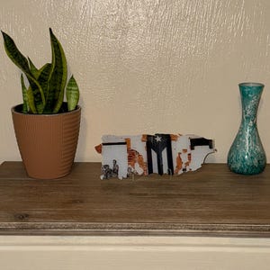 Lyn added a photo of their purchase