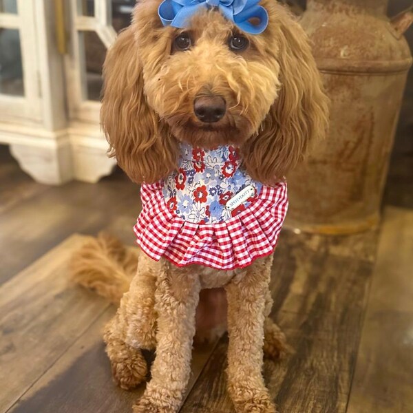 Puppachino Sprinkles Snap Closure Dog Bandana, Birthday Dog Bandana ...