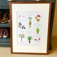Herbology Chart A3 Print - Etsy UK