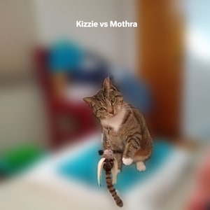 Gib dodał(a) zdjęcie swoich zakupów