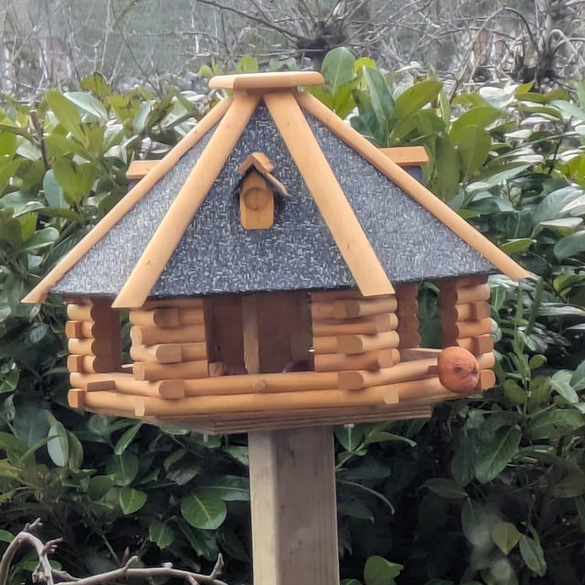 XXL Luxury Bird House V 13 XXL Stone Absolute Eye-catcher - Etsy