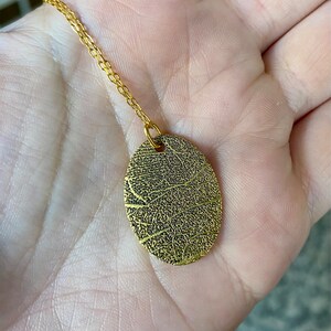 Jessica added a photo of their purchase