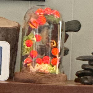 Carol added a photo of their purchase