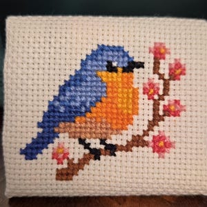 Turtle added a photo of their purchase