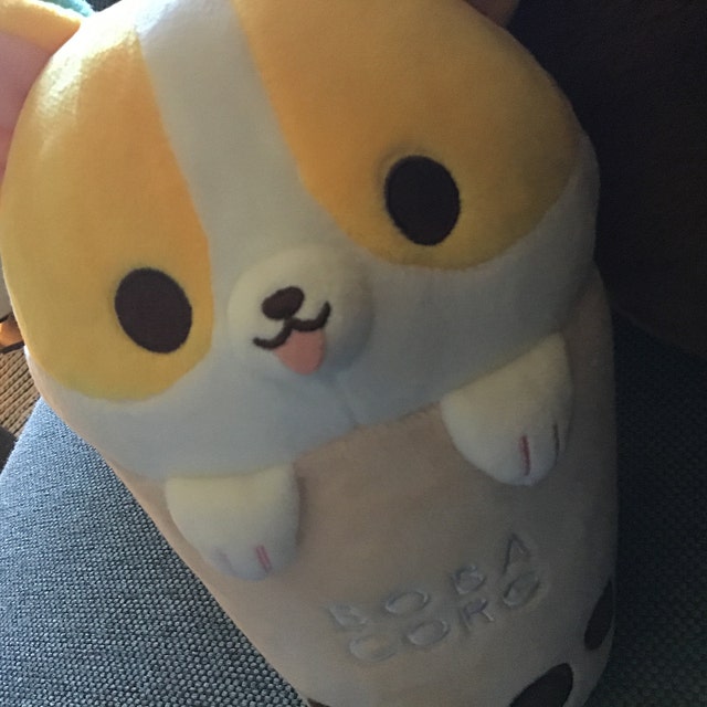 Boba corgi plush 2025