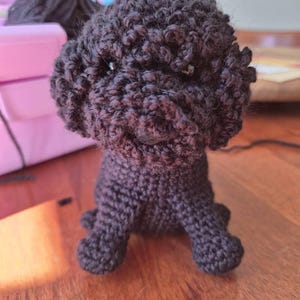 Hayley added a photo of their purchase