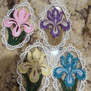 FSL Iris, Purple Petal, White Border, Floral Elegance - Free