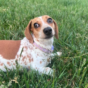 Judy ha añadido una foto de su compra