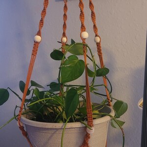 Rosemarie added a photo of their purchase