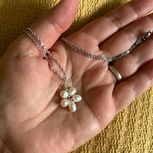 Diane added a photo of their purchase